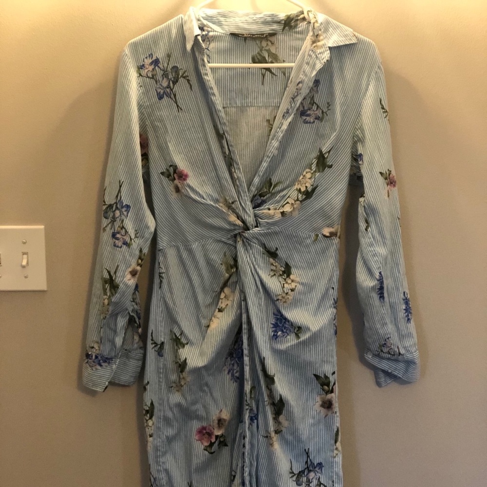 Cutest Zara Dress